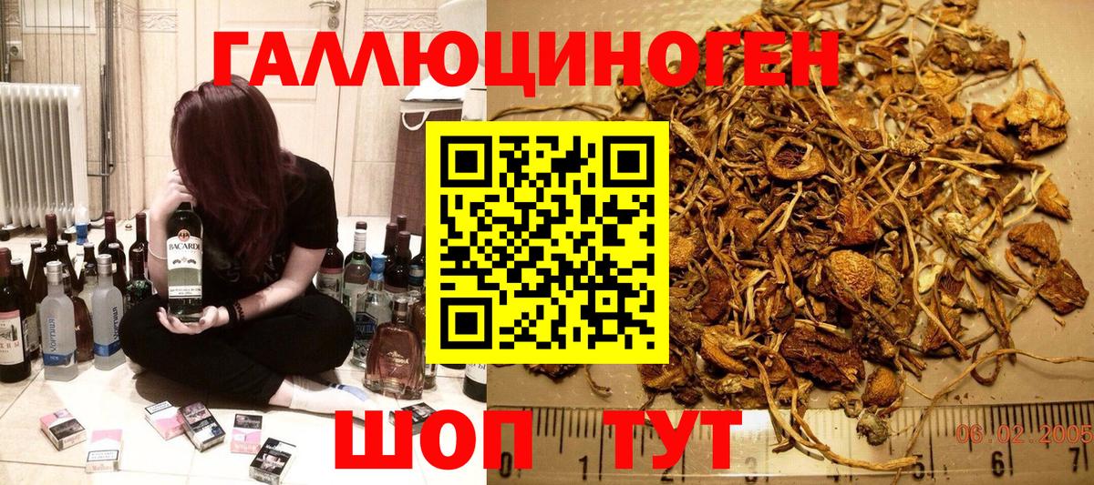 Дмитров  Галлюциногенные грибы мухоморы  Вход с VPN 