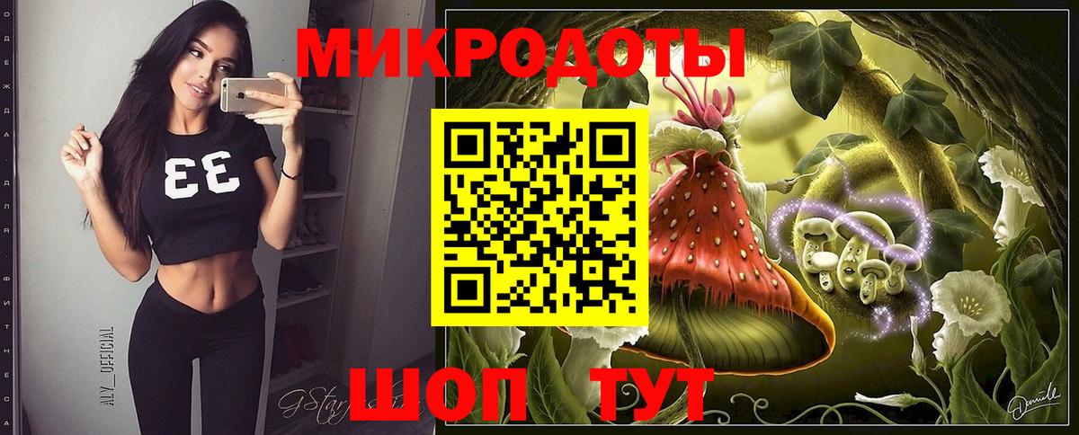 Псилоцибиновые грибы Cubensis Дмитров